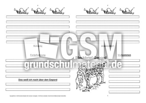 Gepard-Faltbuch-vierseitig-1.pdf